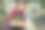 两名戴草帽、穿格子衬衫的资深园丁，在智能手机上合影或视频通话，在木盒子里的花盆旁摆姿势，站在美丽的温室里图片下载