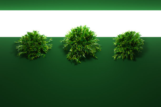 大的绿色落叶树图片下载