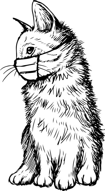 猫与面具手绘图片下载