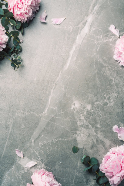 花卉图案，框架粉红色牡丹，桉树花在大理石背景。平躺，俯视图。副本的空间。婚礼，生日，纪念日花束。情人节，妇女节，母亲节。图片下载