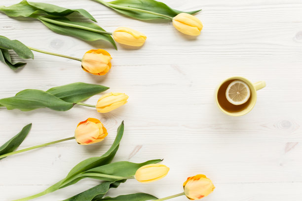 黄色的郁金香，一杯孤立在白色木质背景上的茶。平放，俯视图图片下载