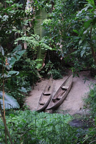 雨林里的两只独木舟。图片下载