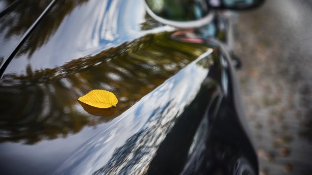 美丽的秋叶在汽车挡风玻璃上，全景图片下载