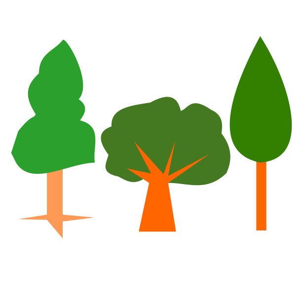 松树和其他多年生植物孤立在白色背景上图片下载