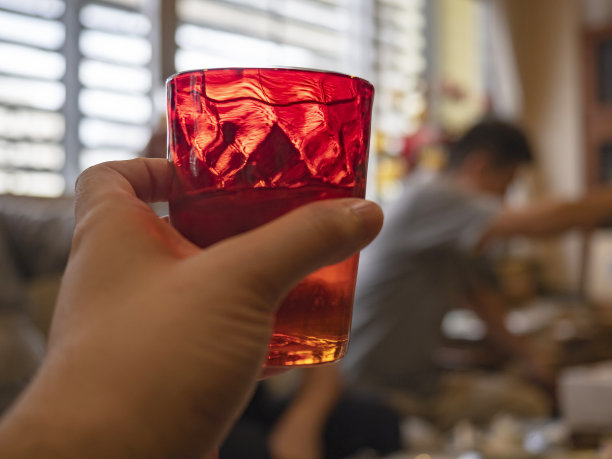 在亲戚聚会上用红酒杯敬酒图片下载