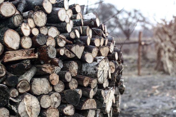 增加了冬天用的木柴。为游客登陆村庄。切成小块用于壁炉或篝火的木头。库存图片图片下载