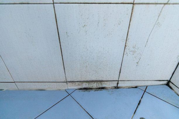 浴室里有灰尘和霉菌。图片下载