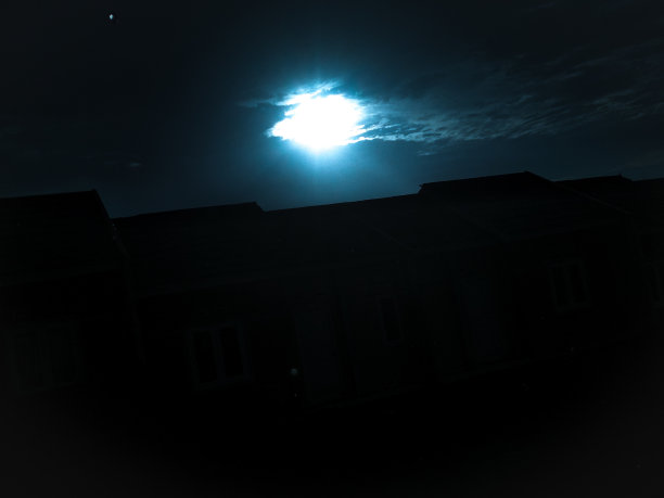 月光下图片下载