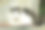 乡村有趣的猫户外特写照片放松在拼接枕头特写照片图片下载