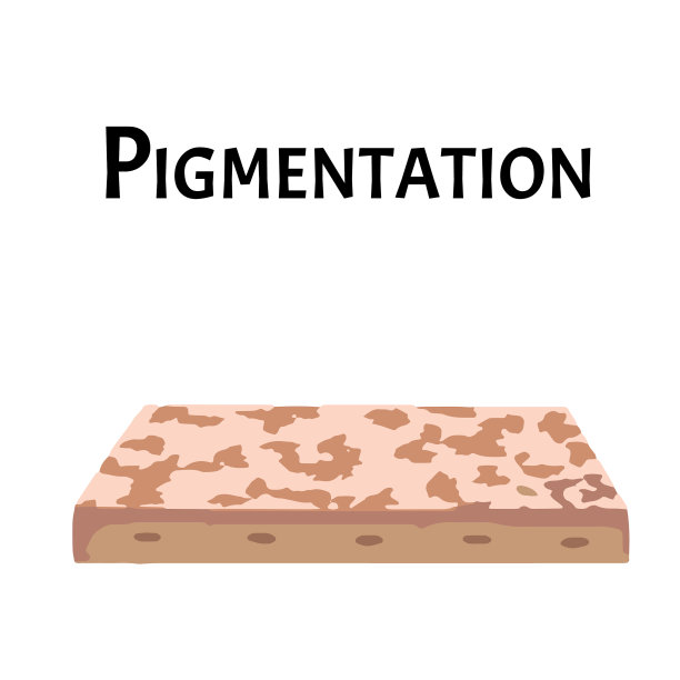 皮肤上的色素沉着是皮肤上的色素斑图片下载
