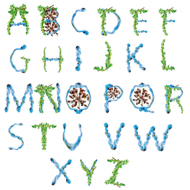 柏树和小茴香的枝桠上缀着雨滴。秋天主题的自然腹肌。图片下载