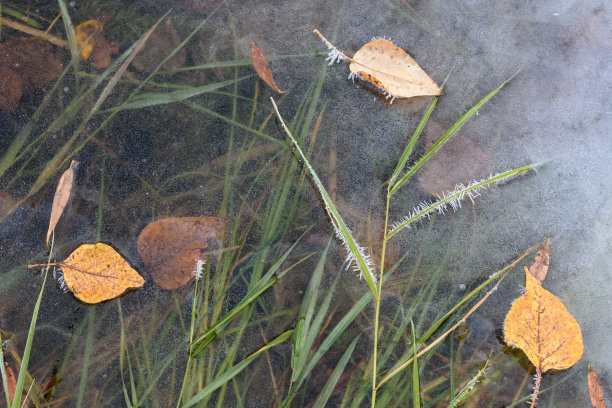 早期冻结图片下载