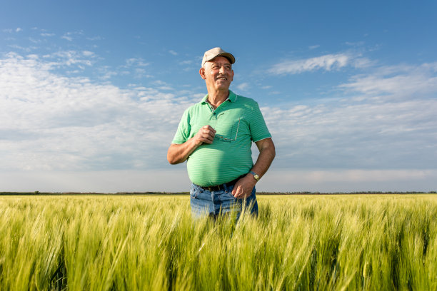 微笑的老农站在麦田里。图片下载