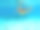 孩子浮潜。孩子们在水下。海滩和大海。图片下载