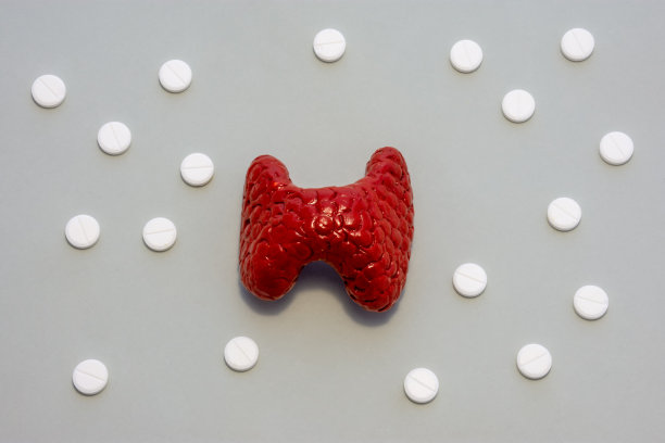 甲状腺模型或图形，与解剖原点相对应，位于灰色背景中，周围点缀着白色圆点的丸子。照片用于内分泌学，激素图片下载