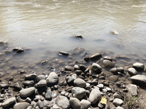 河里的石头图片下载