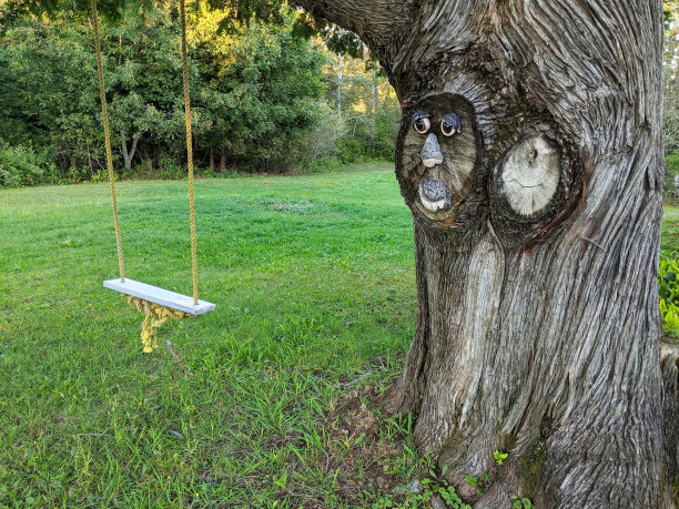 老式的木制秋千挂在后院的树枝上图片下载