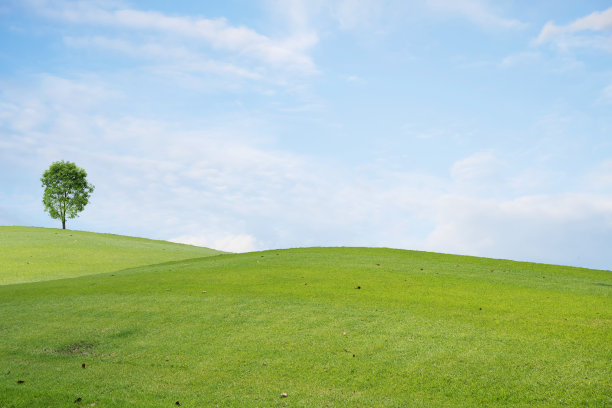 绿色的田野美丽地堆叠着白云，蓝天和树木。图片下载