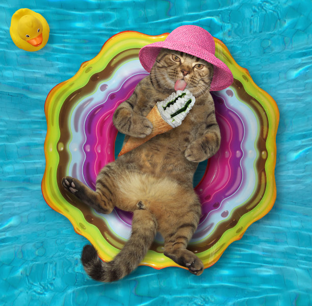 猫在游泳池里吃冰淇淋图片下载