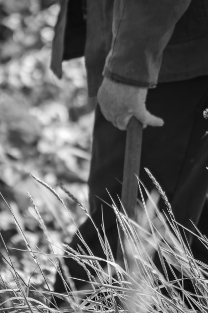 农民。图片下载