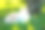 可爱的兔子图片素材ID：382670076