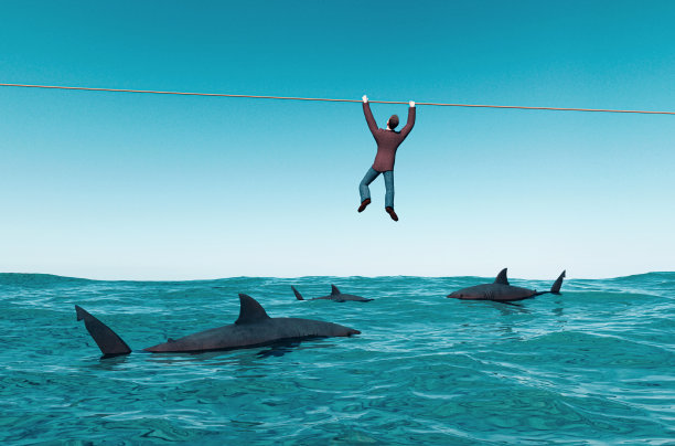 当人们抓住水面上的电线时，鲨鱼正在寻找猎物图片下载
