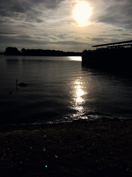 再见日出图片下载