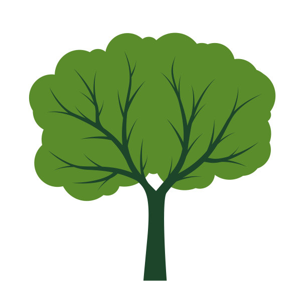 树的形状与绿色的叶子。矢量插图轮廓。植物在花园。图片下载