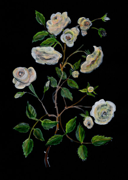 黑色背景上的彩色花朵图片下载