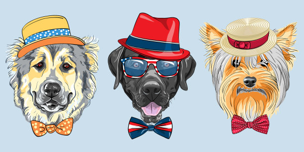 设置3卡通潮狗图片下载