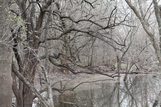 怪异的书图片下载