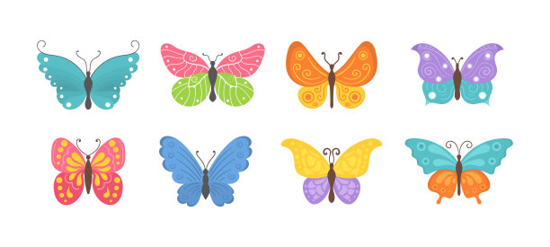 夏天昆虫蝴蝶。图片下载