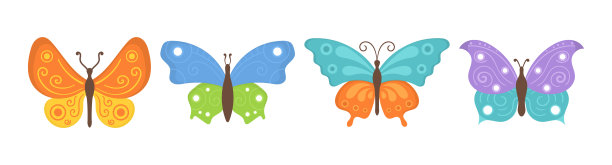 夏天昆虫蝴蝶。图片下载