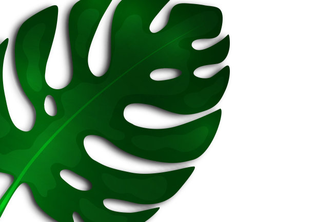 白色背景上的大绿叶怪兽。创意模板为您的设计。向量图片下载