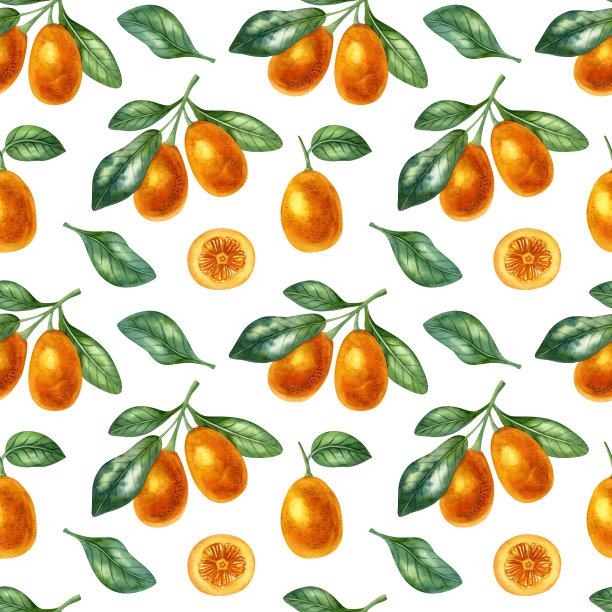 水彩鲜艳的彩色插图图片下载