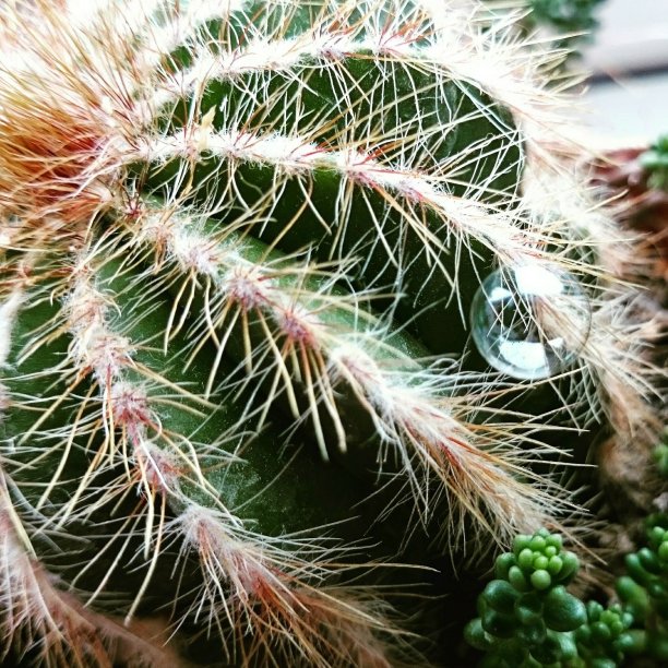 我快累死了图片下载