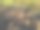 收集有机种植的土豆图片下载
