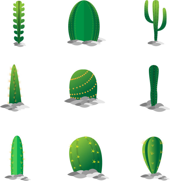 把仙人掌放在石头上图片下载