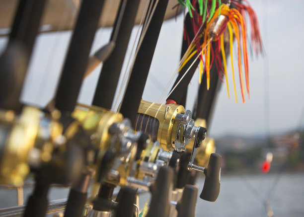 琵琶鱼。图片下载