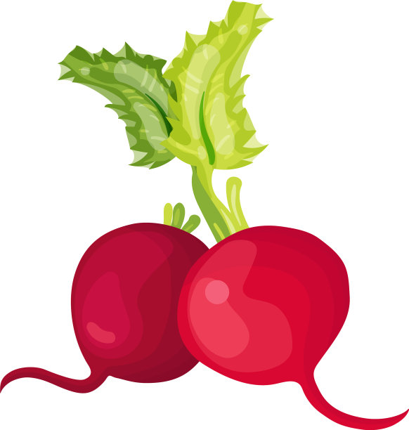 萝卜图标孤立对象标志蔬菜图片下载