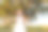 孩子和森林里的一棵大树。老橡树和一个小女孩图片下载