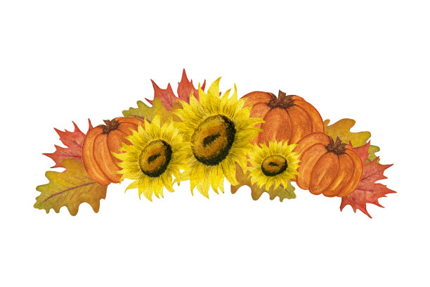 五彩缤纷的秋季和感恩节花卉装饰，水彩秋季插图与向日葵，南瓜和秋叶，秋季植物设计图片下载