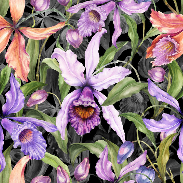 美丽的异国兰花(Laelia)和绿色的叶子在无缝热带花卉图案。图片下载