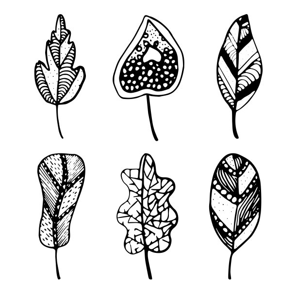 一套涂鸦花和叶子，手绘，禅宗艺术，春天。夏天。秋天。图片下载