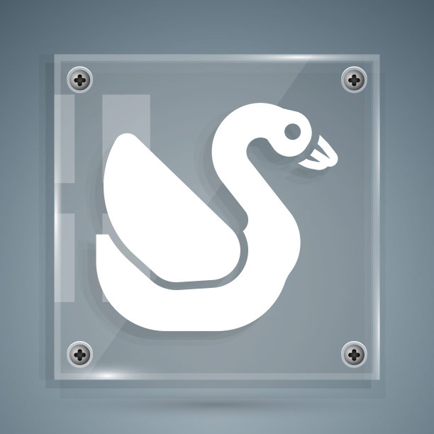 白色天鹅鸟图标孤立在灰色背景。动物的象征。方形玻璃面板。向量图片下载