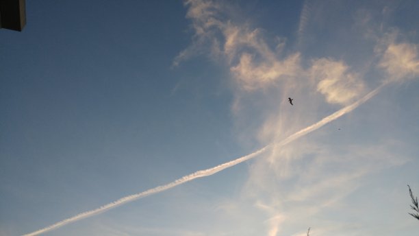 云的形式的人的脸图片下载