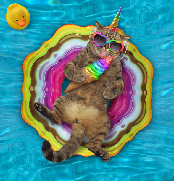 卡帝康在泳池里吃冰淇淋图片下载