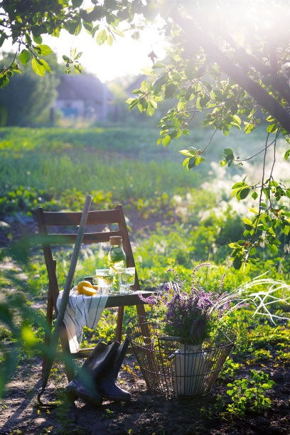 静物——花园里的老式木椅上放着柠檬、黄瓜和薄荷的柠檬汁。牛奶搅拌器和野花。气氛和情绪图片下载
