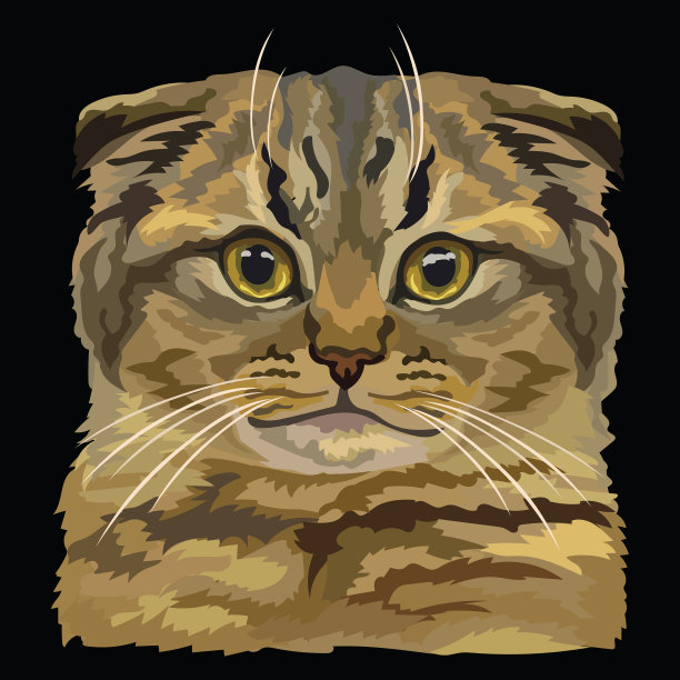 彩色猫4图片下载