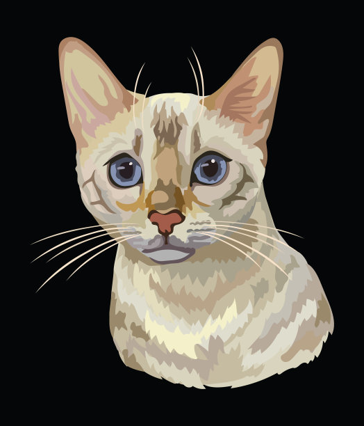 彩色猫8图片下载